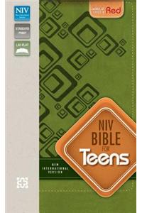 Bible for Teens-NIV