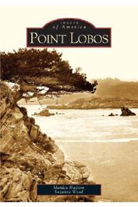 Point Lobos