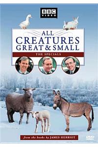 All Creatures Great and Small