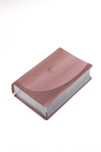 Santa Biblia de Promesas Reina-Valera 1960 «Inspira» / Letra Gigante - 13 Puntos / Piel Especial / Rosa Dorado // Spanish Promise Bible Rvr60 Inspire / Giant Print - 13 Points / Leathersoft / Rosegold