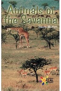 Animals of the Savanna
