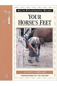 Your Horse's Feet