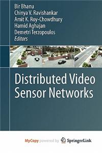 Distributed Video Sensor Networks