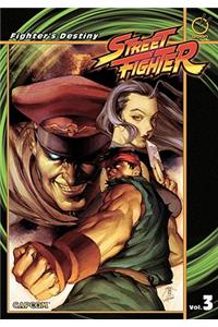 Street Fighter Volume 3: Fighter's Destiny