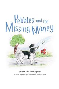 Pebbles and the Missing Money