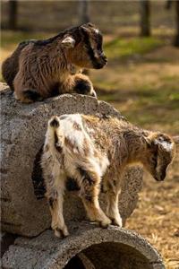 Goats