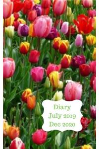 Diary July 2019 Dec 2020