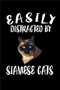 Easily Distracted By Siamese Cats: Animal Nature Collection