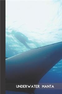 Underwater Manta