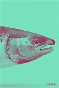 Salmon