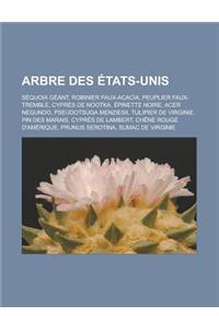 Arbre Des Etats-Unis
