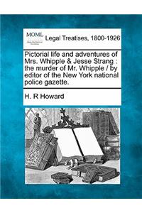 Pictorial Life and Adventures of Mrs. Whipple & Jesse Strang