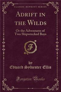 Adrift in the Wilds: Or the Adventures of Two Shipwrecked Boys (Classic Reprint)