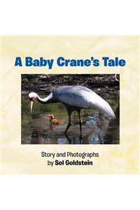 Baby Crane's Tale