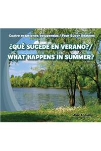¿Qué Sucede En Verano? / What Happens in Summer?