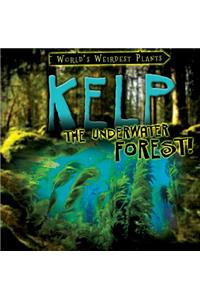 Kelp: The Underwater Forest!