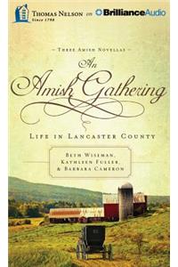 An Amish Gathering