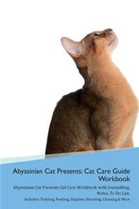 Abyssinian Cat Presents