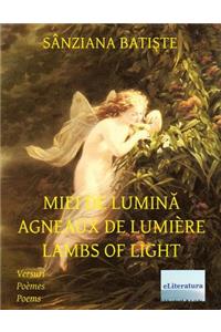 Miei de Lumina Agneaux de Lumière Lambs of Light