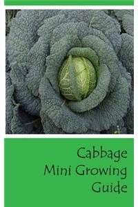 Cabbage Mini Growing Guide