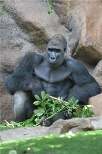 Gorilla Taking it Easy Journal