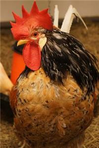 Hello Mr. Rooster Journal