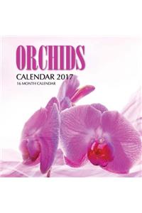Orchids Calendar 2017