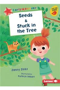 Seeds & Stuck in the Tree