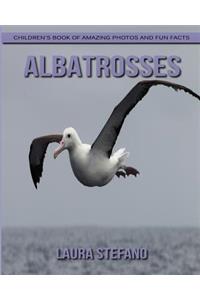 Albatrosses