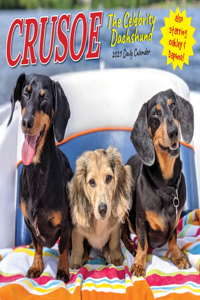 Crusoe the Celebrity Dachshund 2021 Box Calendar (Dog Breed Calendar)