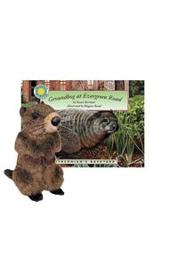 Groundhog at Evergreen Road