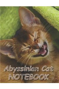 Abyssinian Cat NOTEBOOK