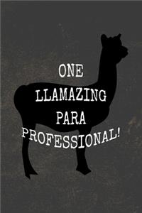 One Llamazing Para Professional