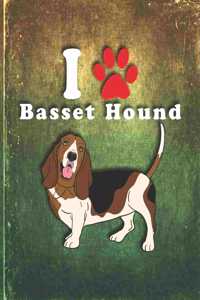 Basset Hound