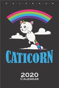 Caticorn Unicon Cat with Rainbow Calendar 2020