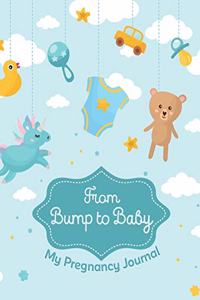 From Bump to Baby My Pregnancy Journal