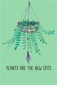 Plants are the new cats