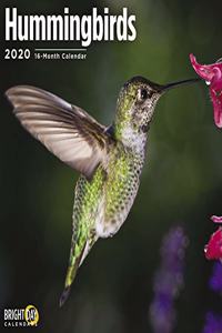 HUMMINGBIRDS WALL CALENDAR 2020