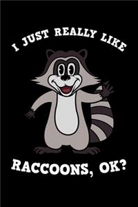 I Just Really Like Raccoons Ok