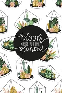 Bloom Where You Are Planted