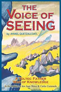 Voice of Seeing