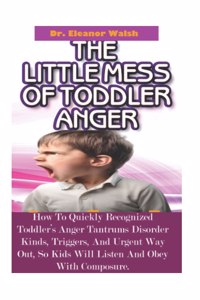 Little MESS Of Toddler Anger