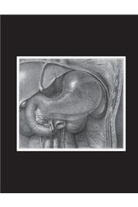Dissection Showing Viscera Notebook