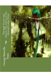 Through Forest and Stream The Quest of the Quetzal