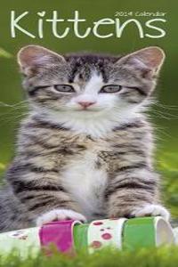 Kittens Slim Calendar 2019