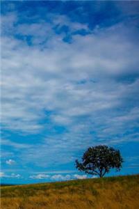 A Tree in a Summer Landscape Nature Journal