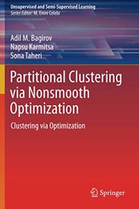 Partitional Clustering Via Nonsmooth Optimization