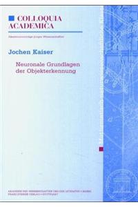 Neuronale Grundlagen Der Objekterkennung \