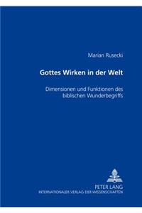 Gottes Wirken in Der Welt