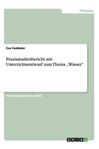 Praxisstudienbericht mit Unterrichtsentwurf zum Thema 